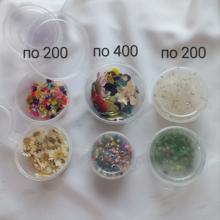 Молды и сухоцветы