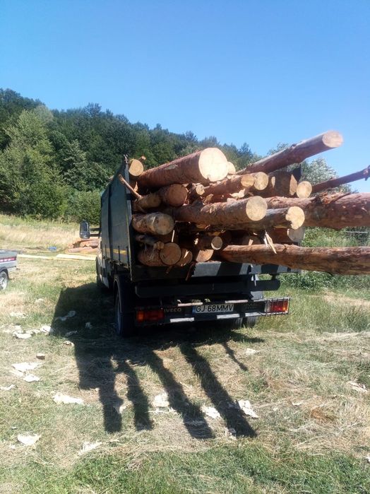 Iveco daily 35C14 BASCULABIL