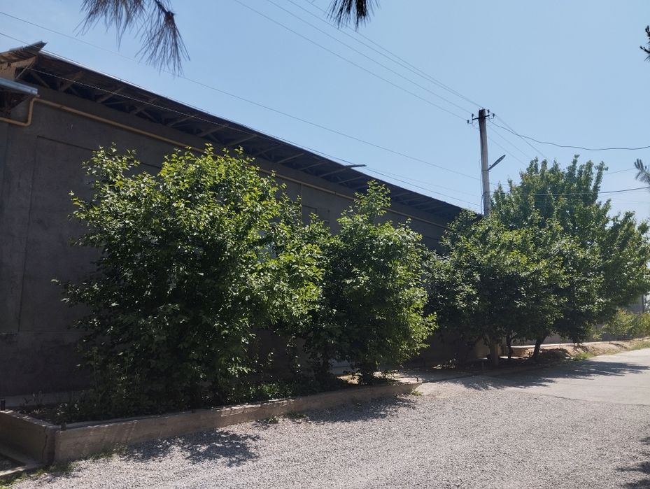 Xasanboyda yer narxida uchastka sotiladi