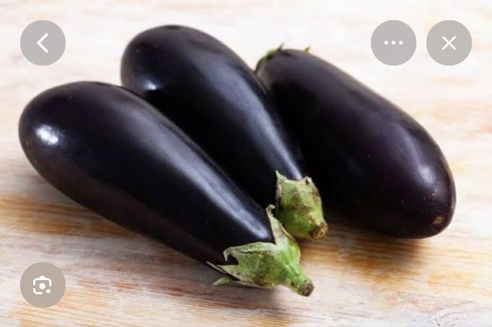 Продам домашние баклажаны