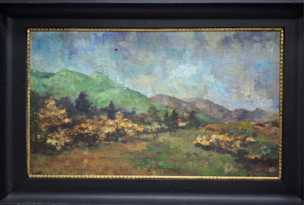 Tablou ulei pe panza semnat Thorma.