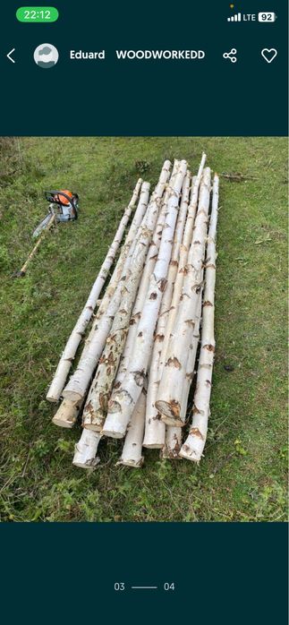 Lemn de mesteacan mesteacan decorativ trunchi mesteacan crengi rondele