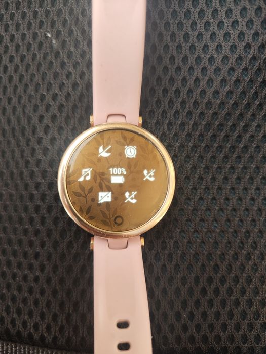 Часы Garmin Lily