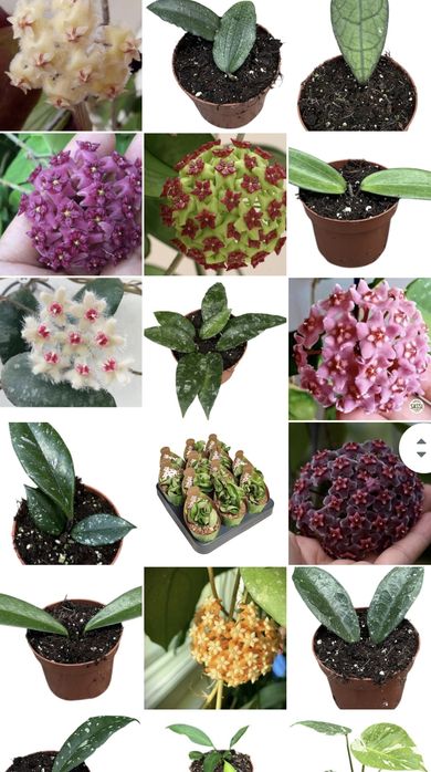 Приглашаю в группу