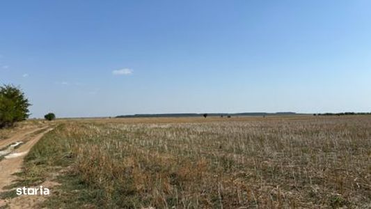 Teren 13.500 mp, investitie !