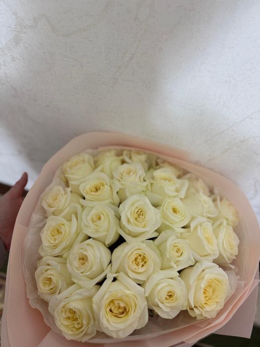 Классические розы