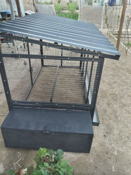 Товук катак замонавий