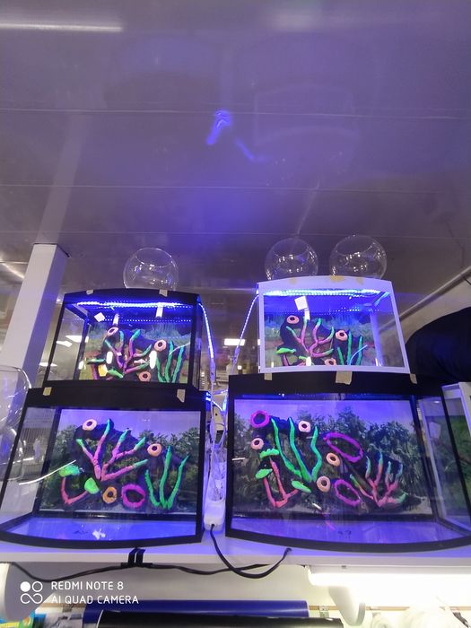 Akvarium yengi 20 litr