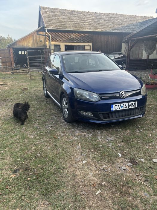 Polo de vazare m