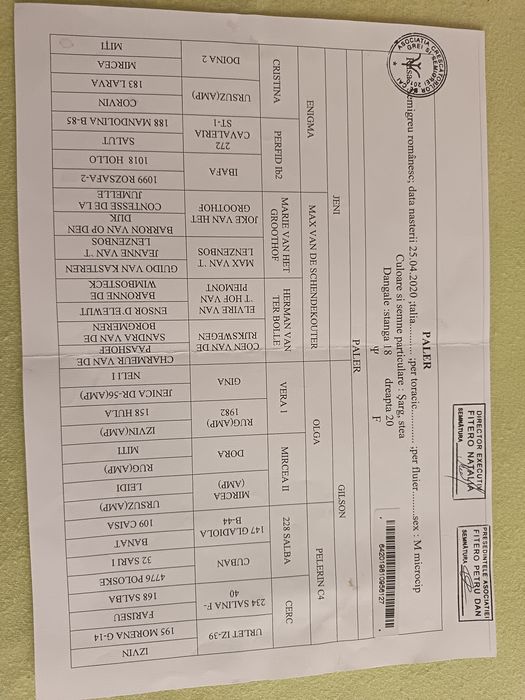 Vând harmasar Linia Fitero