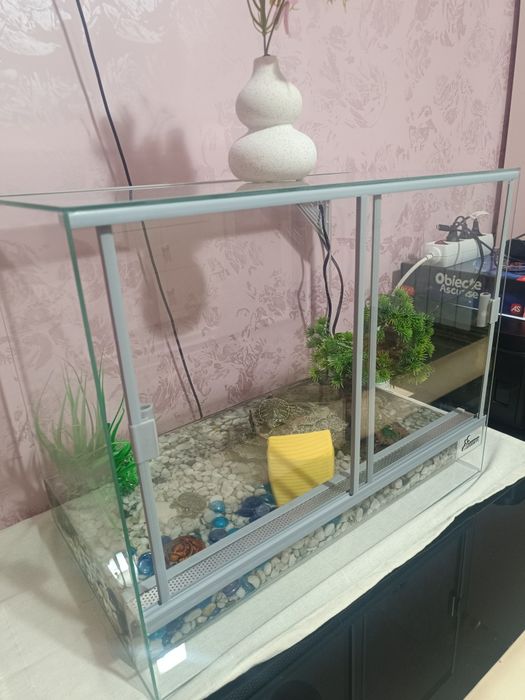 Terariu complet utilat cu doua broscuțe