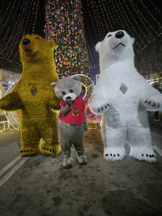 Ayiq, Айиклар, Ayiqlar, Medved, Медведь . Надувной медведь.  b/u