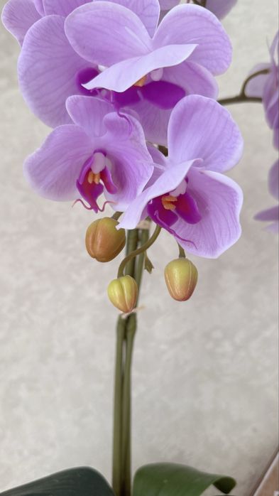 Искусственная орхидея