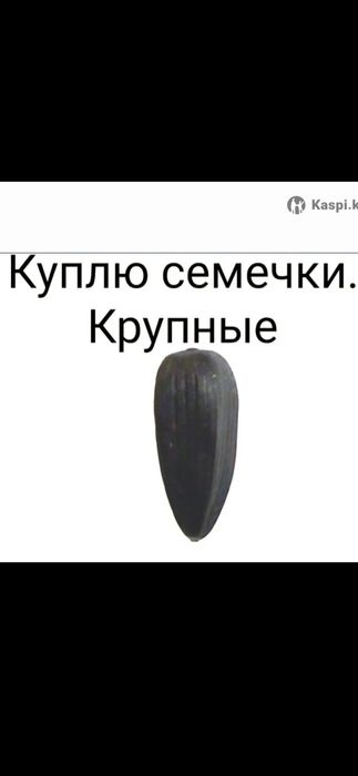 Семечки подсолнечника.Крупные.