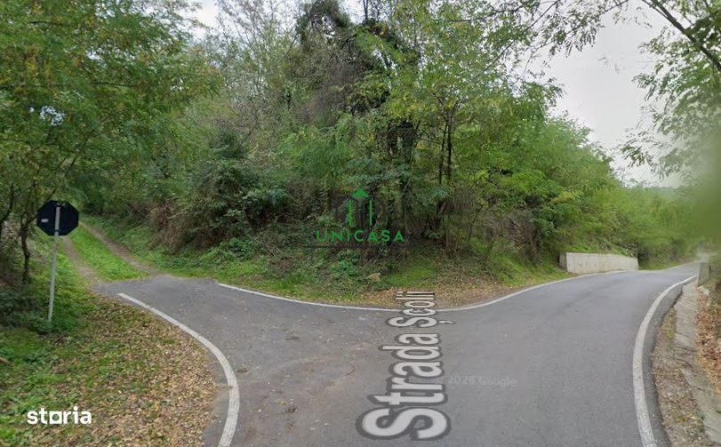 Teren 12.690 mp | 3.900 mp intravilan | Ocnele Mari- Slatioarele