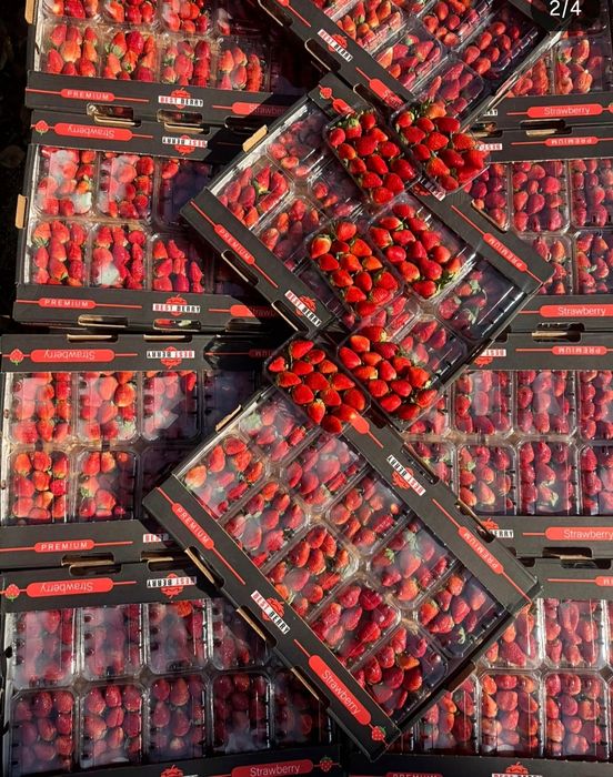 Клубника Египет.