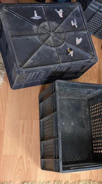 продам пластиковые ящики