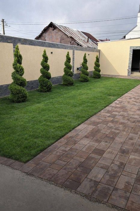 Gazon- plante naturale