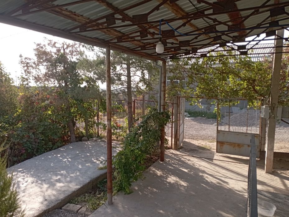 Dacha sotiladi 12 soʻtiq