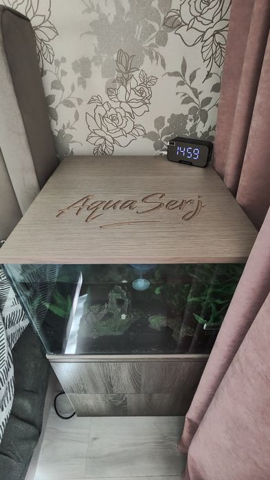 Рыбки аквариум сомики