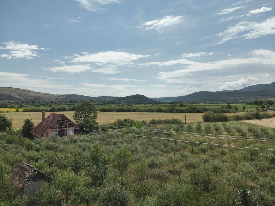 Loc de casa / Teren intravilan de vanzare cu livada - Buteni, jud.Arad