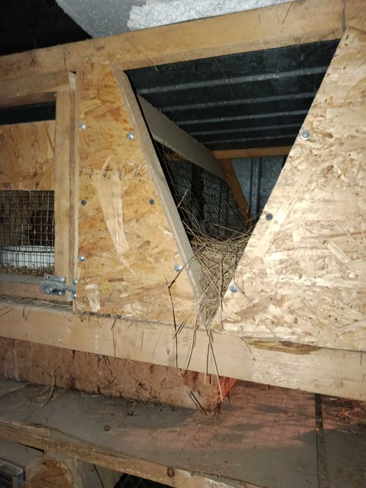 Крольчатник на 6 секции с гнездами