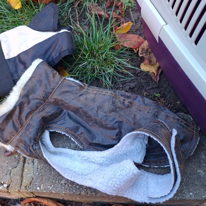 Pachet cusca, haine catei talie mica sau pisica