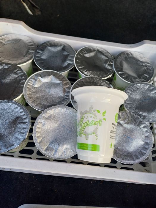 Продаётся бизнес айраны