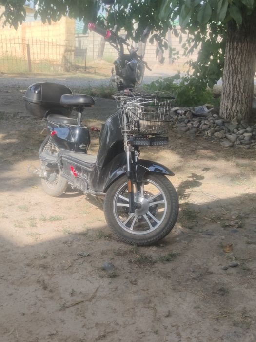 sukuter sotiladi