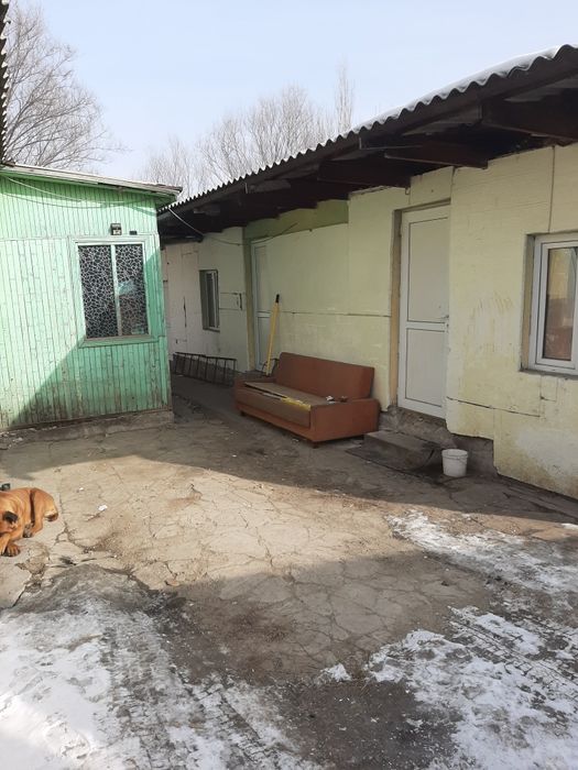 Продам дом и 3 времянки