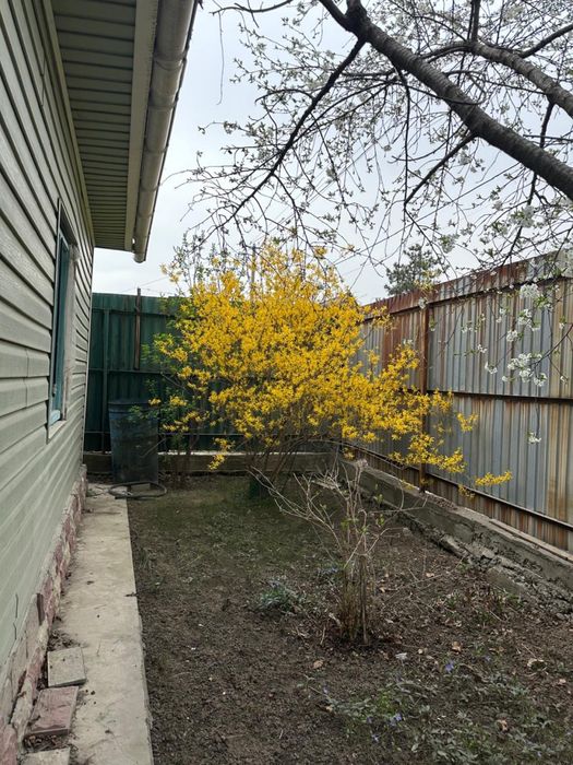 Продаю дачу 10 соток