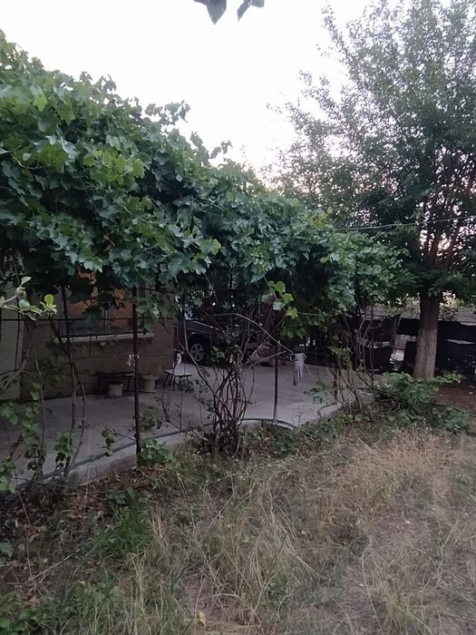 Продаётся дача с участками.