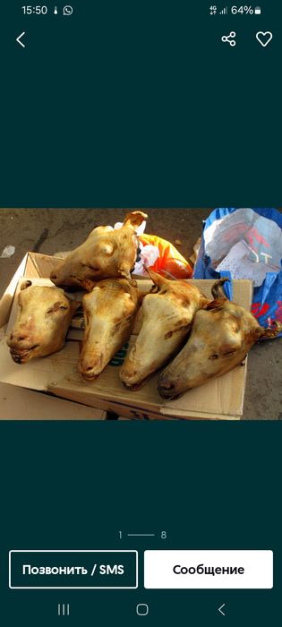 Бараны Алматы Кой Қой есть доставка