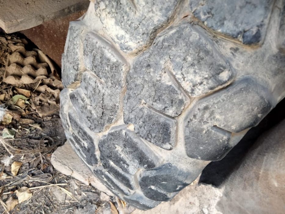 Бочка  сатылады..