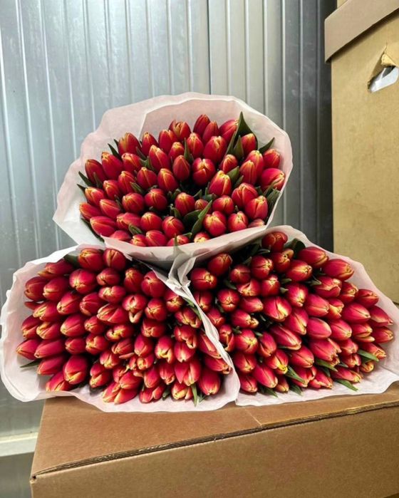 Тюльпаны оптом цветы