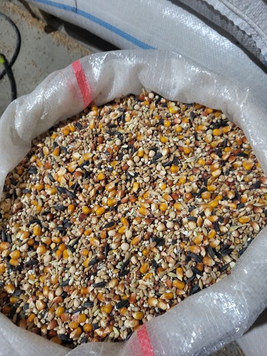 Vind amestec pentru porumbei