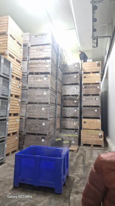 Pere lukas olanda mere