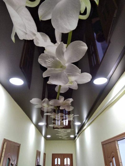 Натяжные потолки РАССРОЧКА