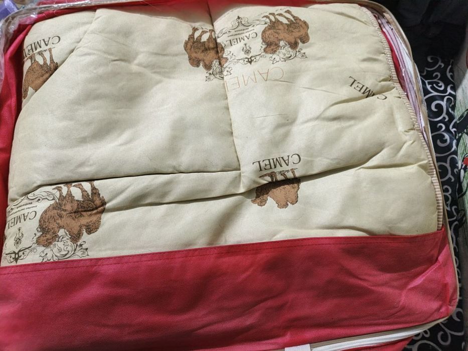 Туйа йунгидан курпа