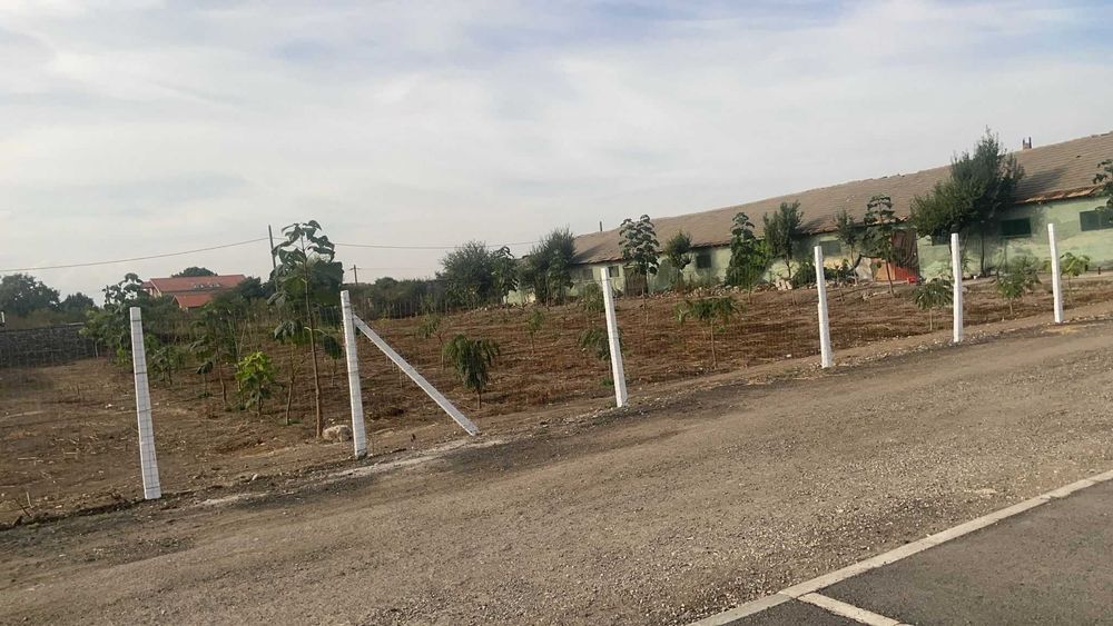 Teren Intravilan De Vanzare 2 Mai (7000 m2)