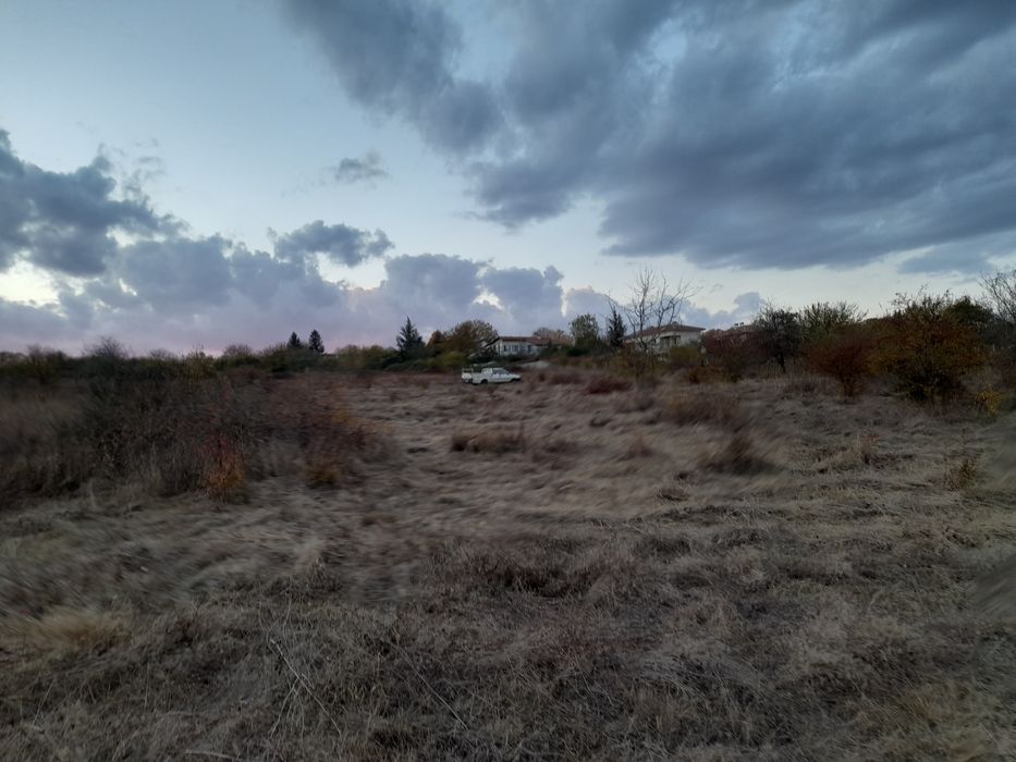 Косене почистване градини и дворове