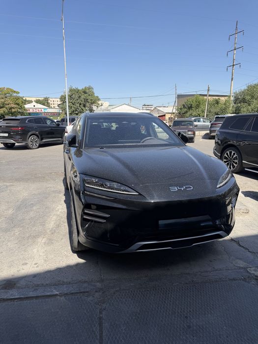 Byd chempion  sotialdi