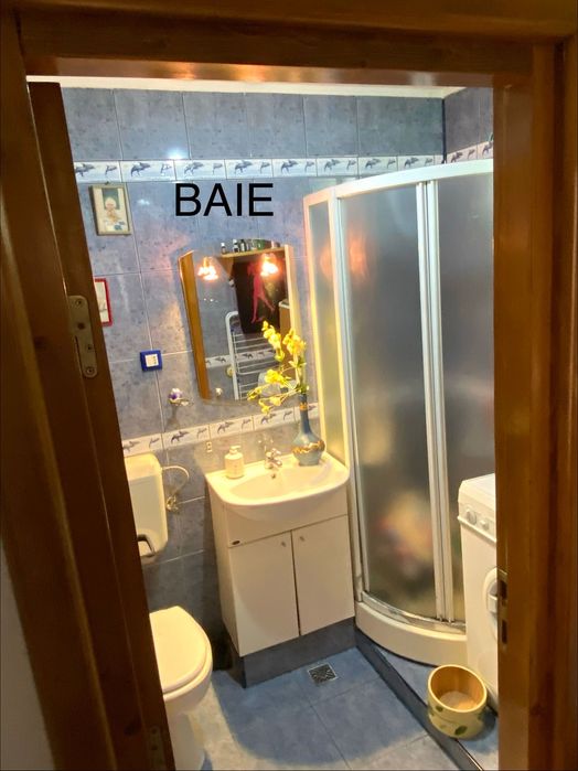 Apartament luminos două camere și pod propriu