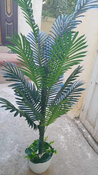 Yangi Gul sotiladi