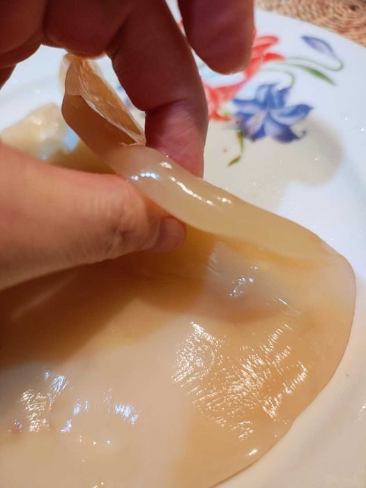 Ciuperca tibetana chefir lapte kefir apa