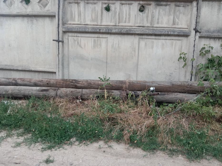 Деревянные столбы