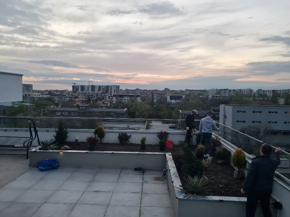 Amenajari curti si spatii verzi