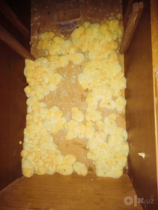 Tez o'suvchi jojalar garantiyasi bilan