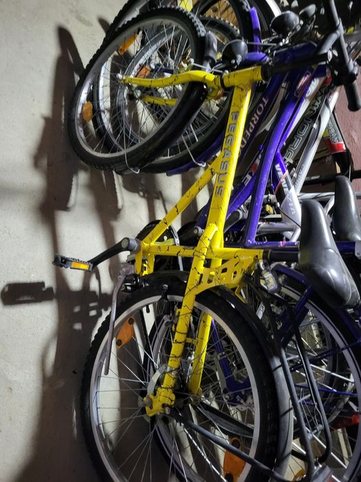 Biciclete copii, bărbat