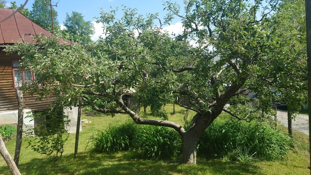 Vând teren Breaza , Prahova